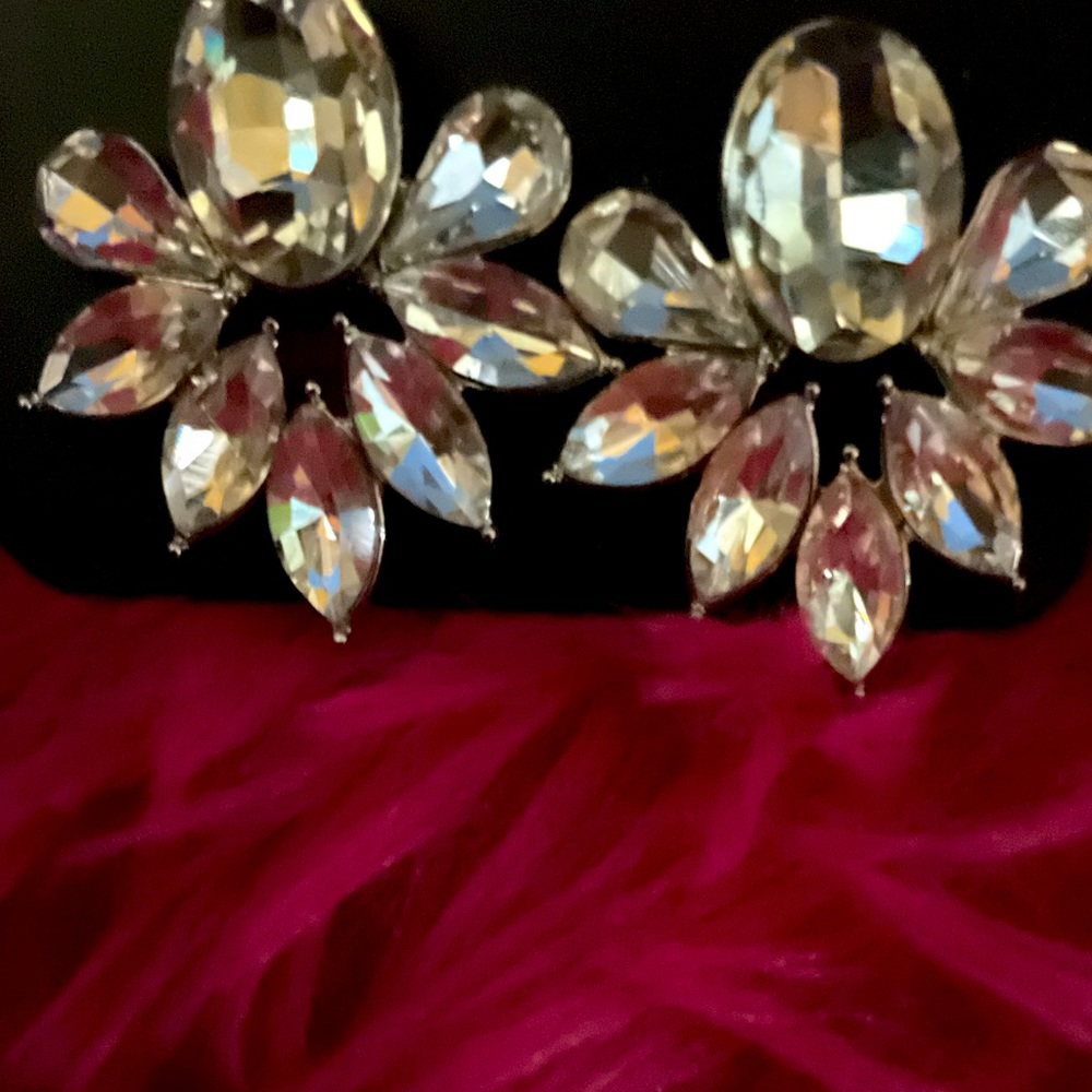 Paparazzi cute earrings clipons